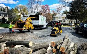 Best Lawn Drainage Solutions  in Bonners Ferry, ID