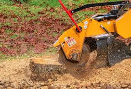 Best Grass Overseeding  in Bonners Ferry, ID