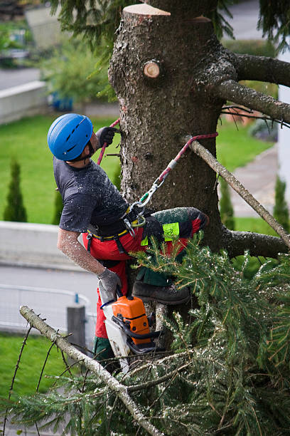 Best Aeration Services  in Bonners Ferry, ID