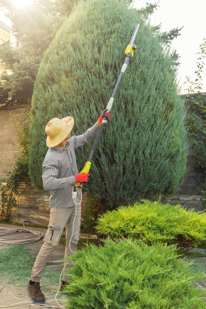 Best Storm Damage Tree Cleanup  in Bonners Ferry, ID