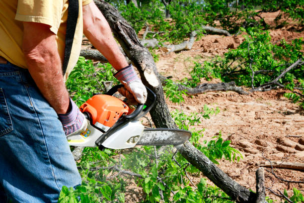 Best Weed Control  in Bonners Ferry, ID